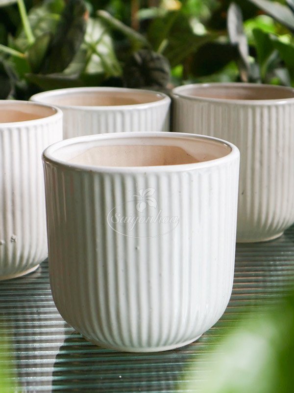 Chậu Sứ Trụ Sọc Bo Đáy 12