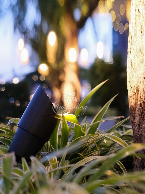 Đèn LED Chiếu Cây LT2101