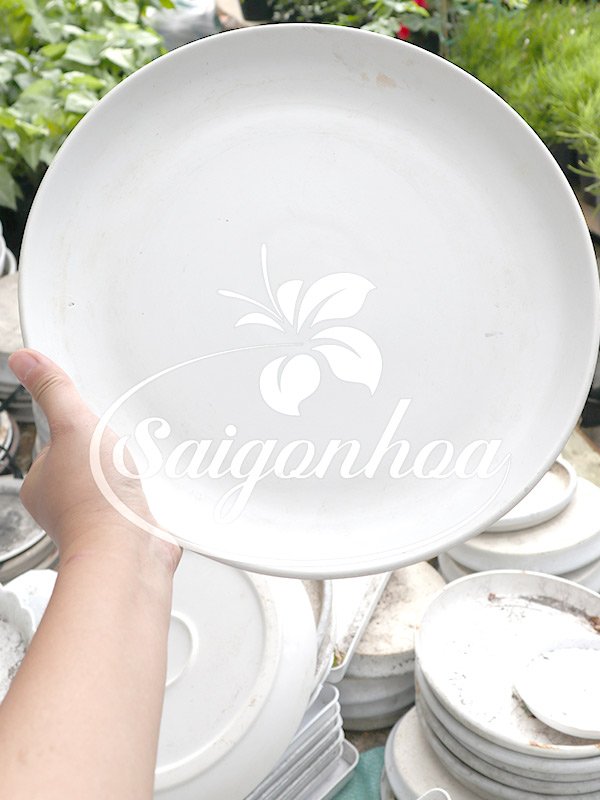 Đĩa Lót Sứ