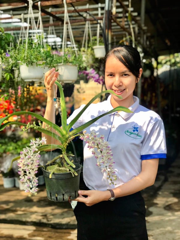 Hoa Lan Ngọc Điểm