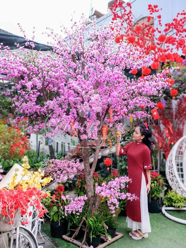 Cây Hoa Đào Hồng Trang Trí Tết