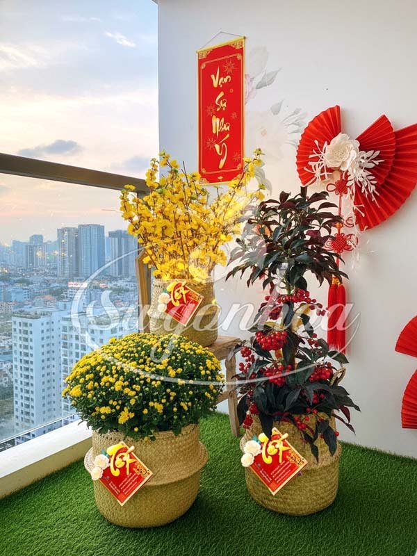Combo Hoa Tết Phúc Lộc Tài