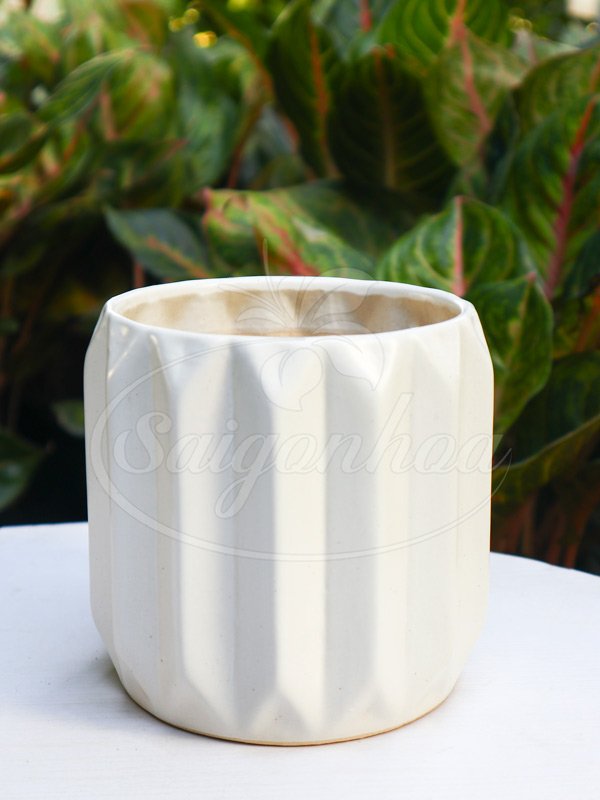Chậu Men Trụ Tròn Khía Cạnh