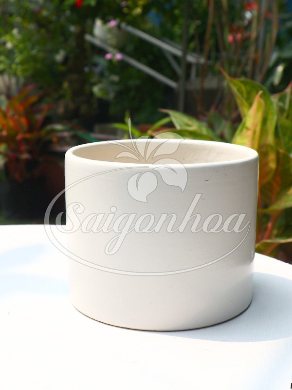 Chậu Sứ Trụ Tròn Men Trắng 12