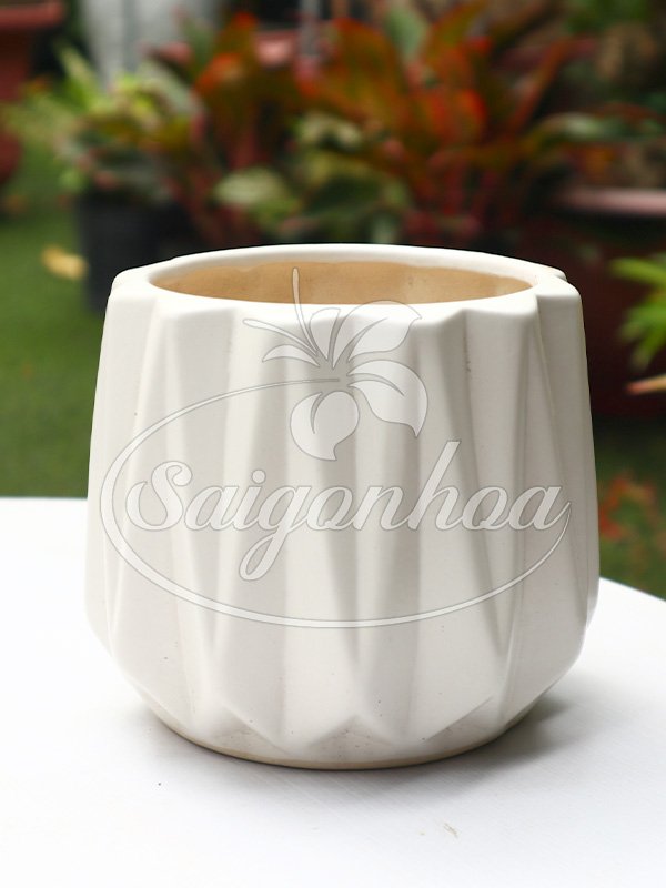 Chậu Sứ Khía Bo Miệng