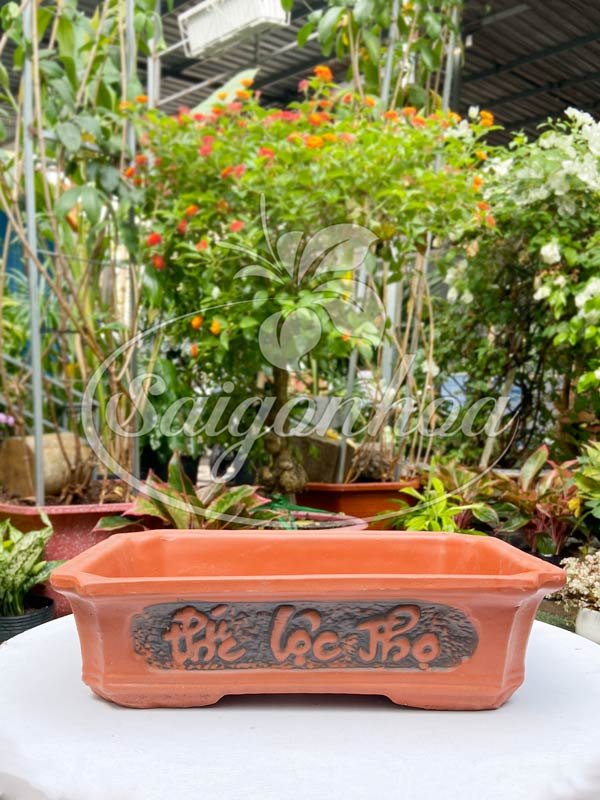 Chậu Đất Nung Chữ Nhật Phúc Lộc Thọ L2