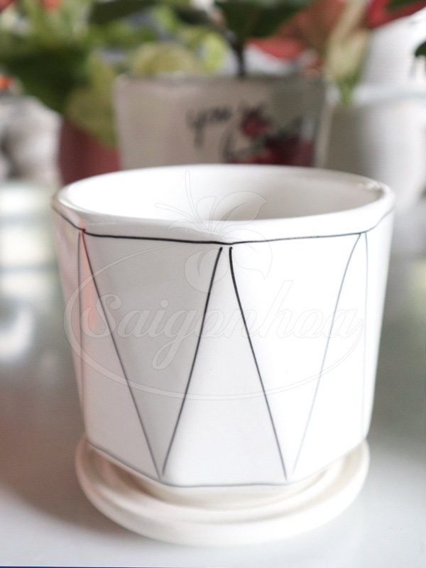 Chậu Đĩa Lót Trồng Cây Mini