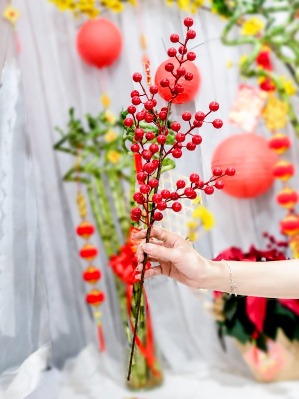 Cành Đào Đông Đỏ 6 Nhánh