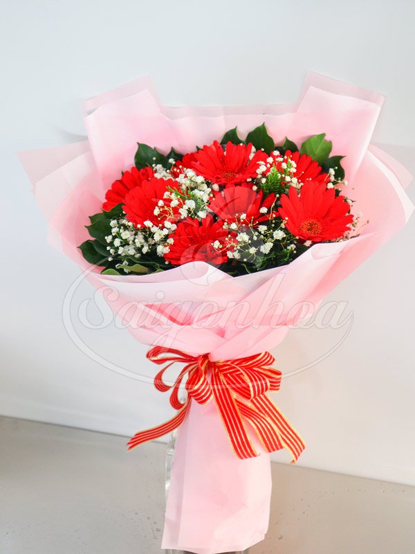Hoa Bó Đồng Tiền Đỏ