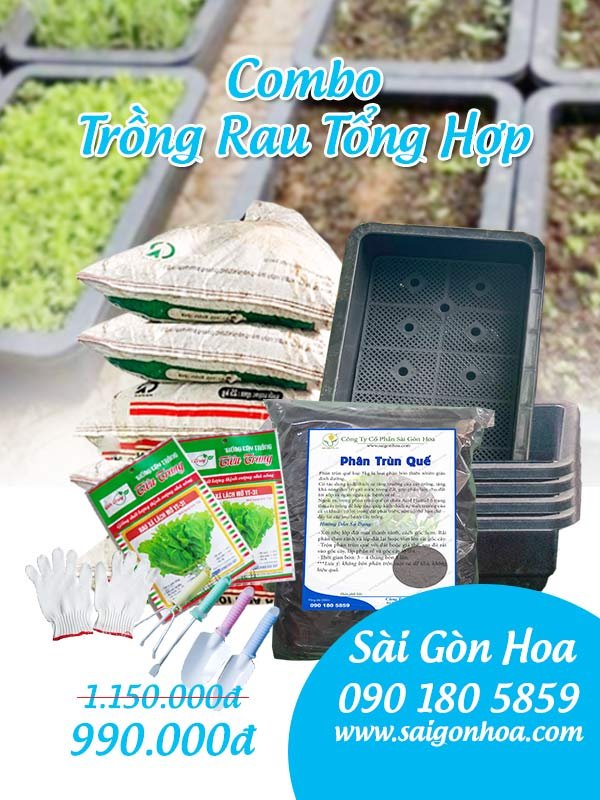 Combo Trồng Rau Tổng Hợp