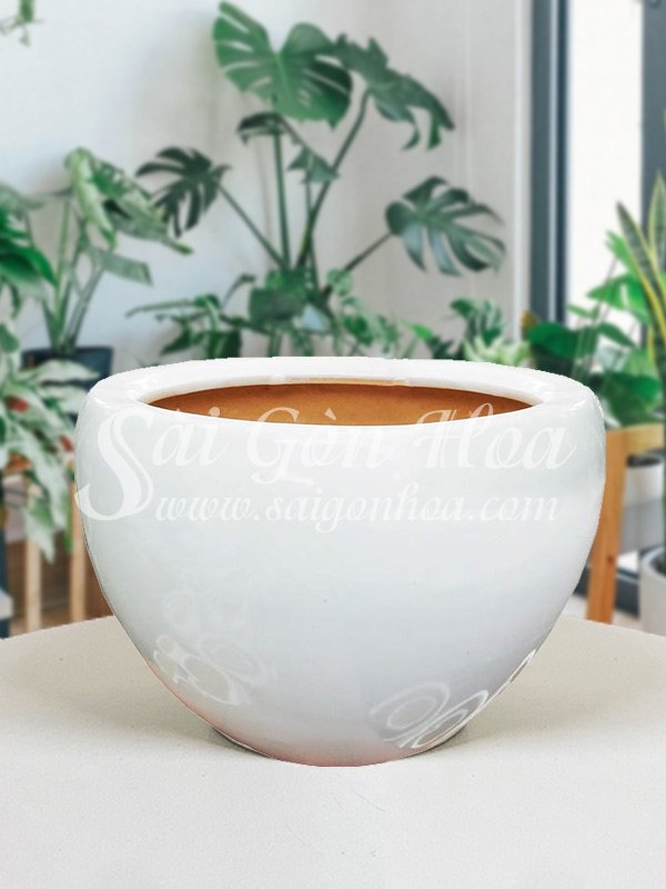 Chậu Sứ Trứng Tròn L2