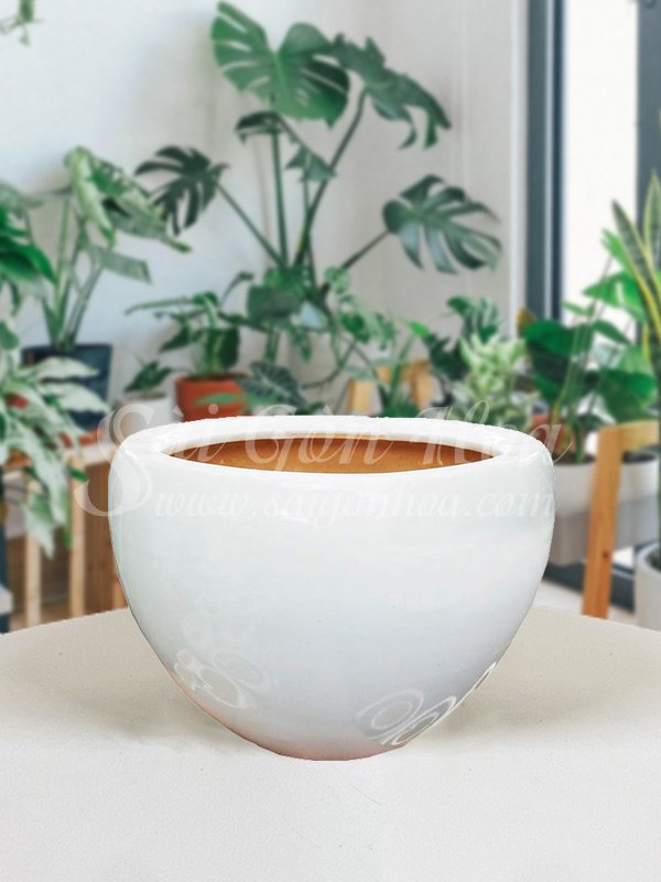 Chậu Sứ Trứng Tròn L3