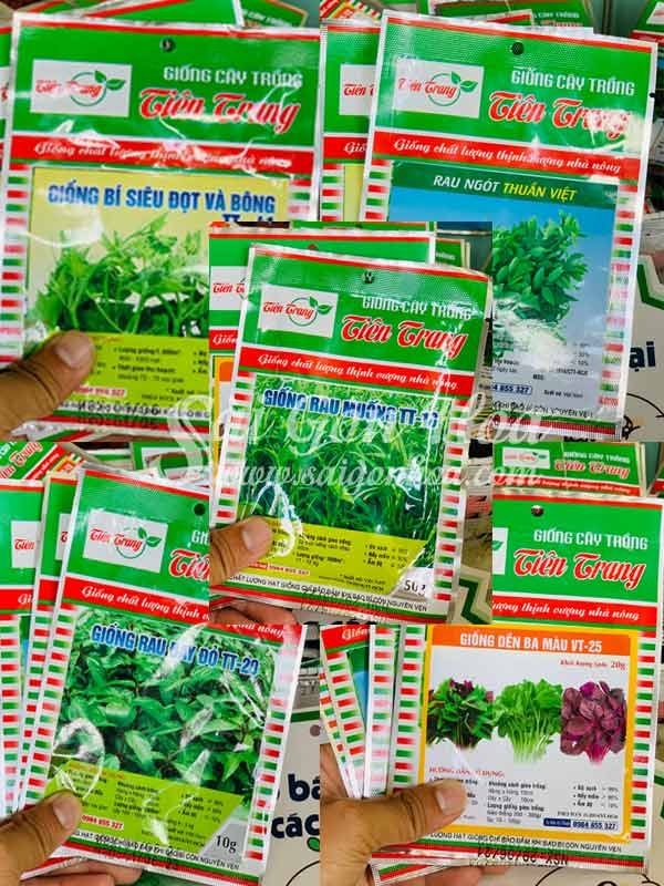 Hạt Giống Rau Ăn Lá
