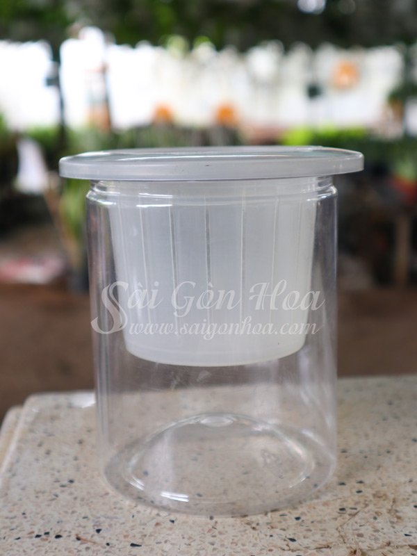 Chậu Nhựa Tự Dưỡng