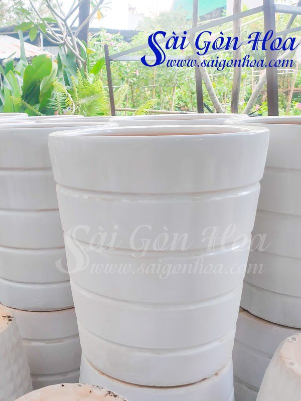 Chậu Sứ Tròn Chỉ Ngang