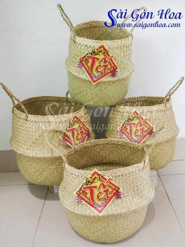 Giỏ Cói Trồng Cây