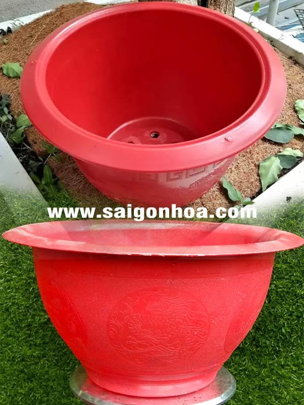 Chậu Nhựa Tròn Truyền Thống 43×22