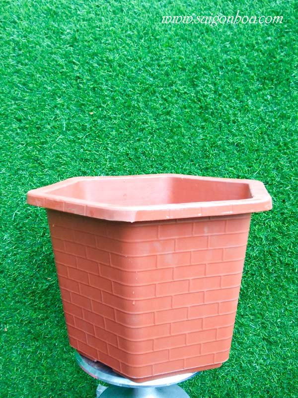 Chậu Nhựa Lục Giác 520