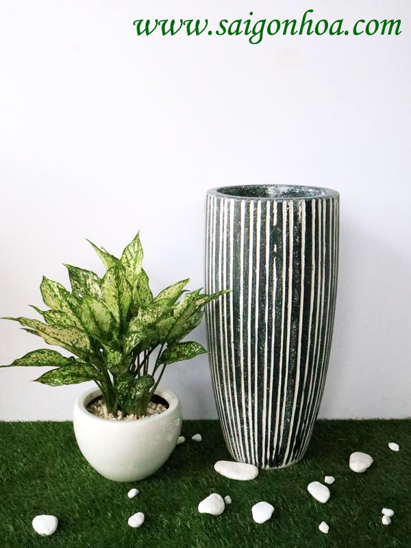 Chậu Đá Mài Trụ Chỉ Dọc Size 24