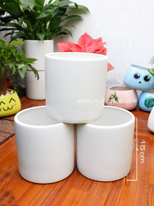 Chậu Trụ Tròn Men Trắng Bát Tràng Size 15