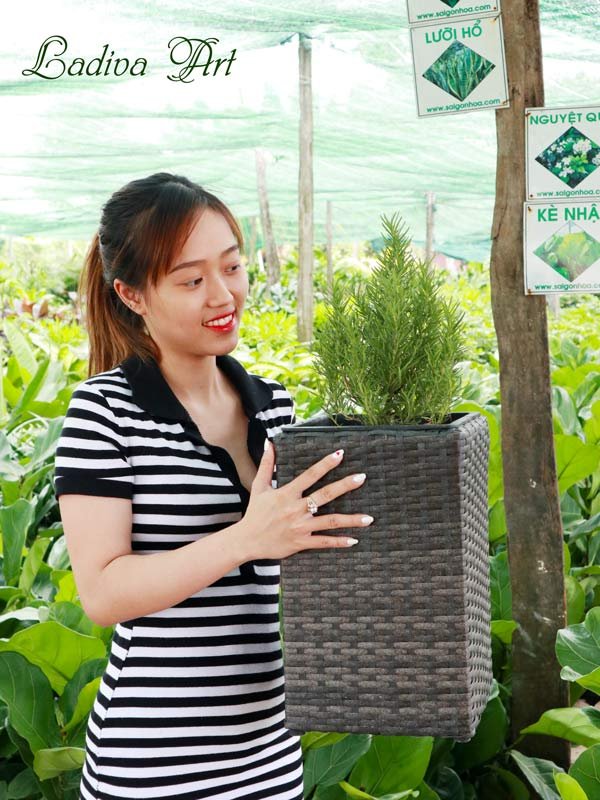 Chậu Trồng Cây Sợi Mây 008-LAP008