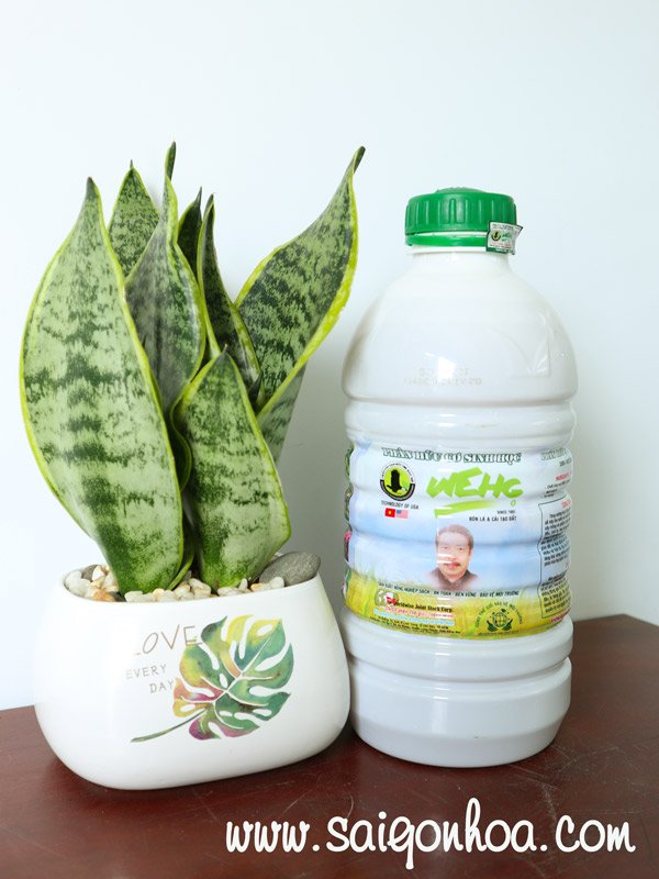 Phân Hữu Cơ Sinh Học WEHG Loại 2Lít