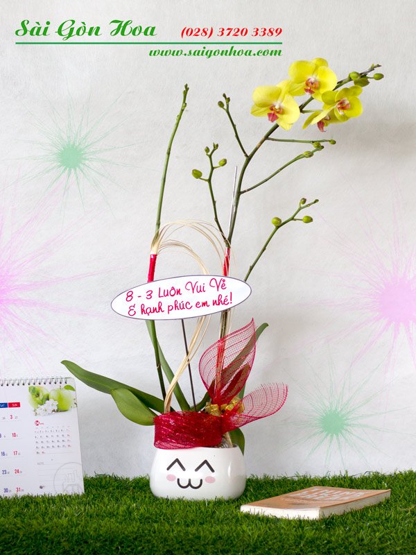 Chậu Lan Hồ Điệp 1 Cành Ngày 8/3