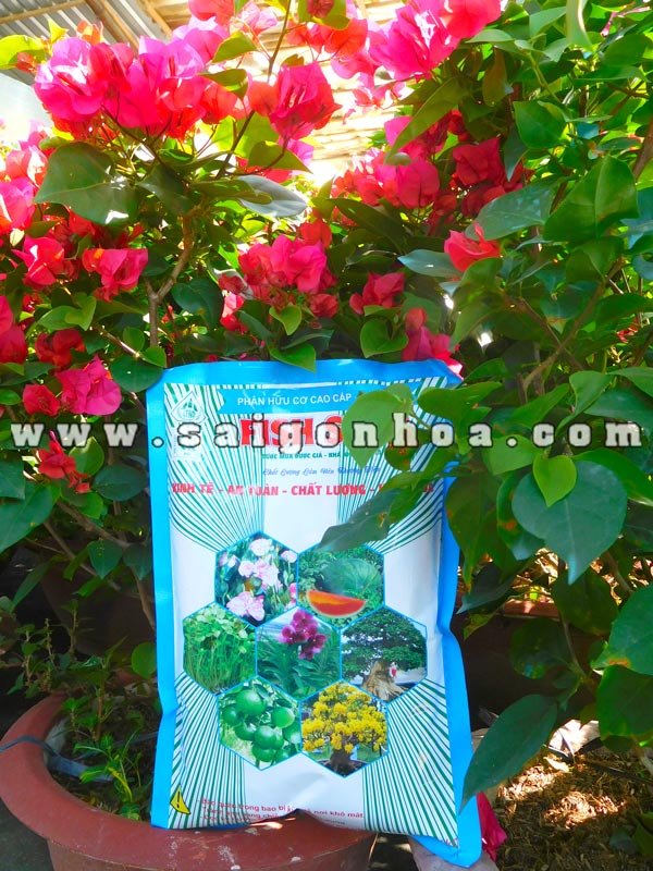 Phân Hữu Cơ Cao Cấp Đạm Cá Fish Star