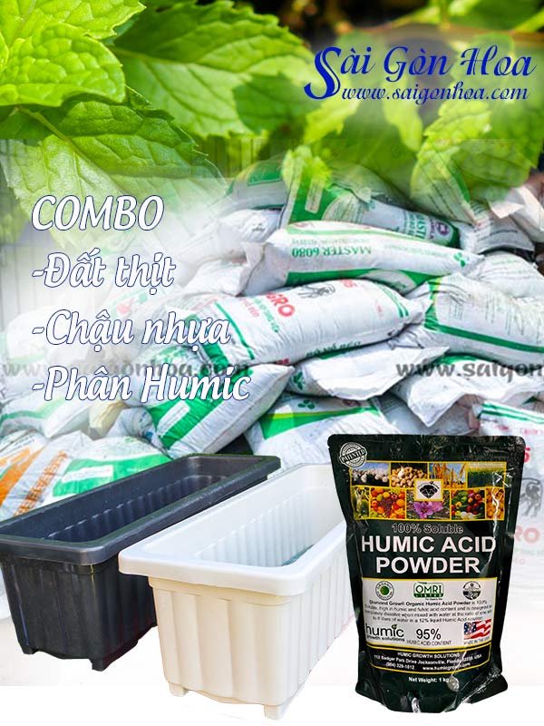 Combo Chậu Nhựa Chữ Nhật, Đất Thịt Và Humic