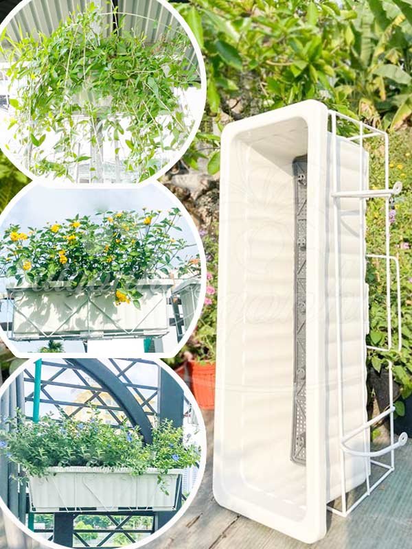 Chậu Chữ Nhật Trồng Ban Công