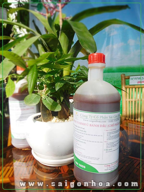 Men Vi Sinh Ủ Bánh Dầu Chế Phẩm BIO-TT9