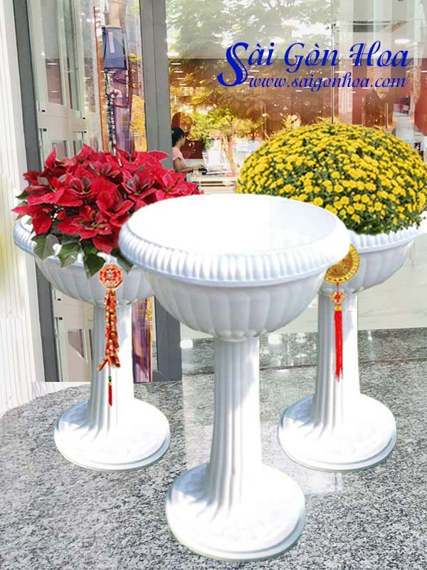 Chậu Ly Nhựa Chân Đế Cao