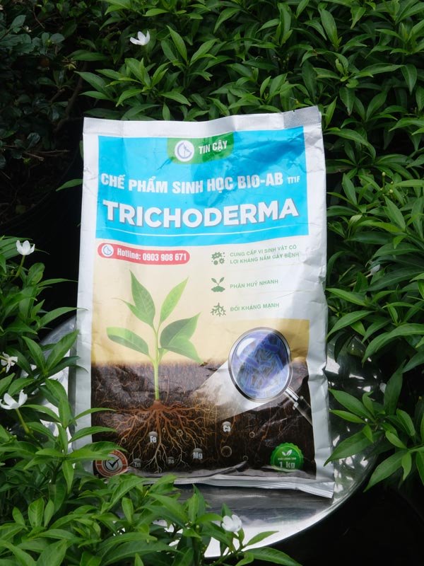 Chế Phẩm Sinh Học Trichoderma (Bio-TC)
