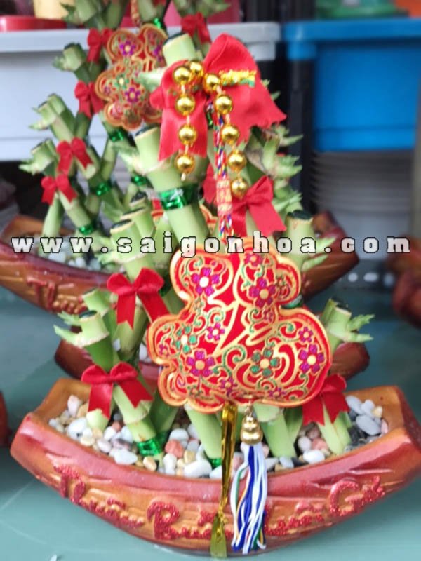 Chậu Cây Thuyền Phát Lộc Tam Giác