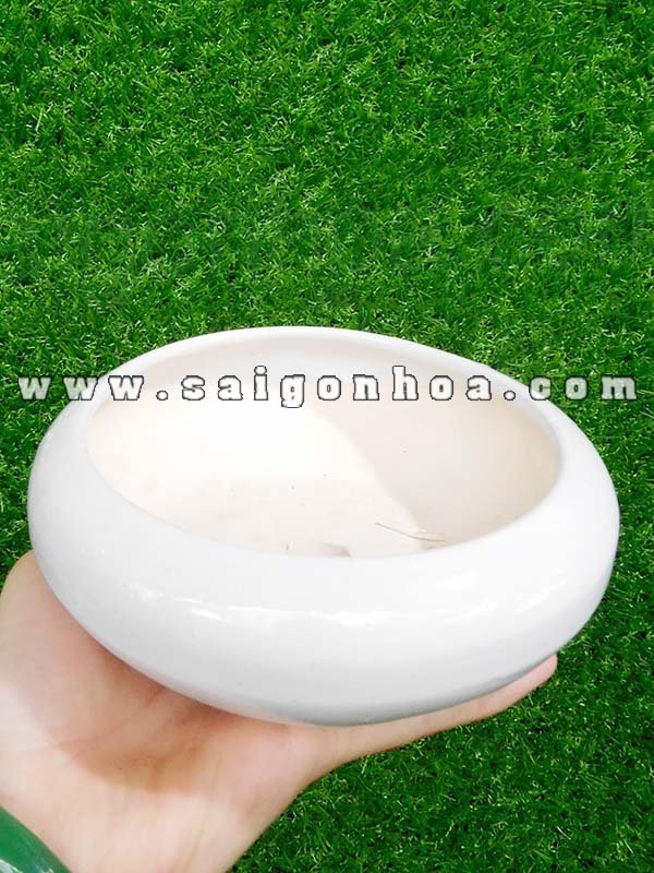 Chậu Tròn Dẹp Để Bàn Gốm Sứ Bát Tràng