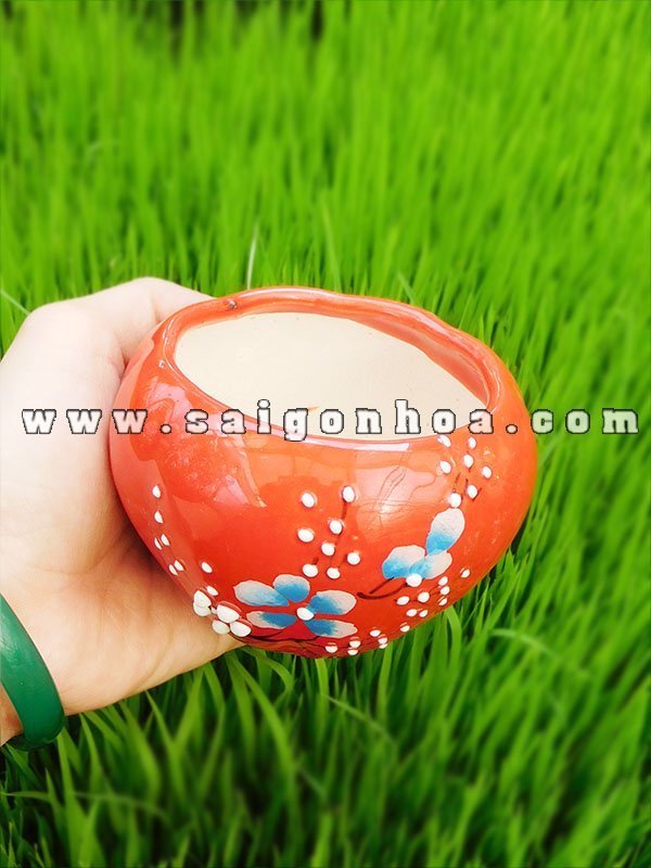 Chậu Để Bàn Mini Gốm Sứ Bát Tràng