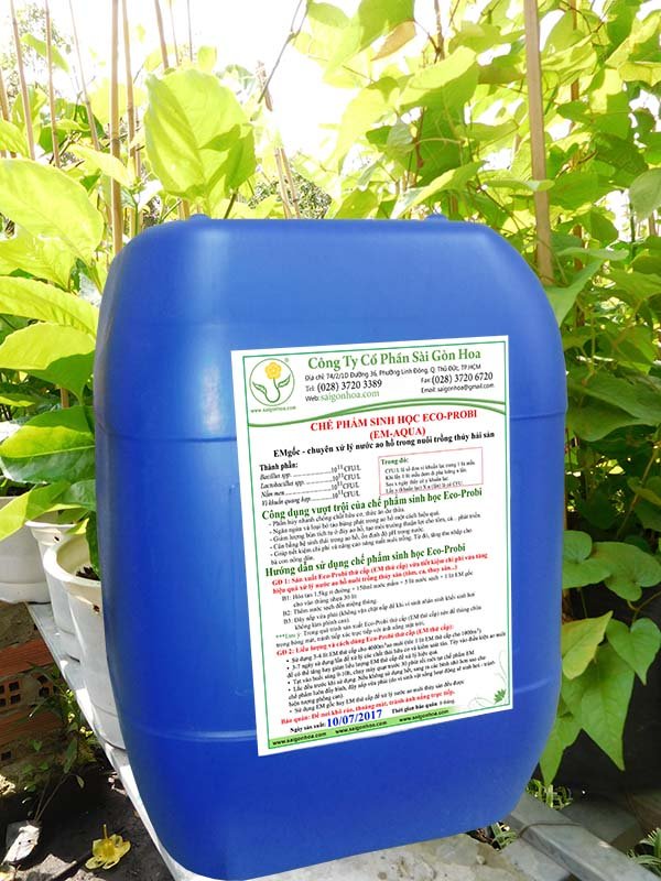 Chế Phẩm Sinh Học Eco-Probi Xử Lý Nước Ao Hồ