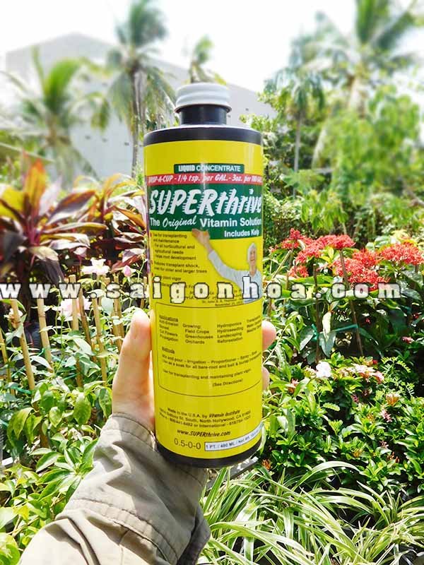 Hoocmon Super Thrive Kích Thích Sự Tăng Trưởng Của Cây Loại 480ml