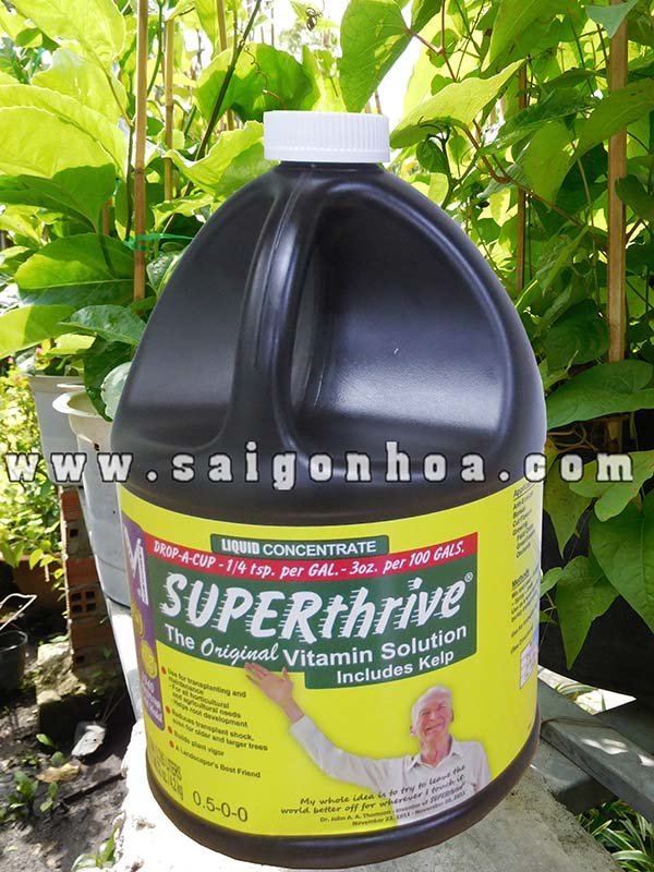 Super thrive Vitamin Kích Thích Sinh Trưởng Cho Cây
