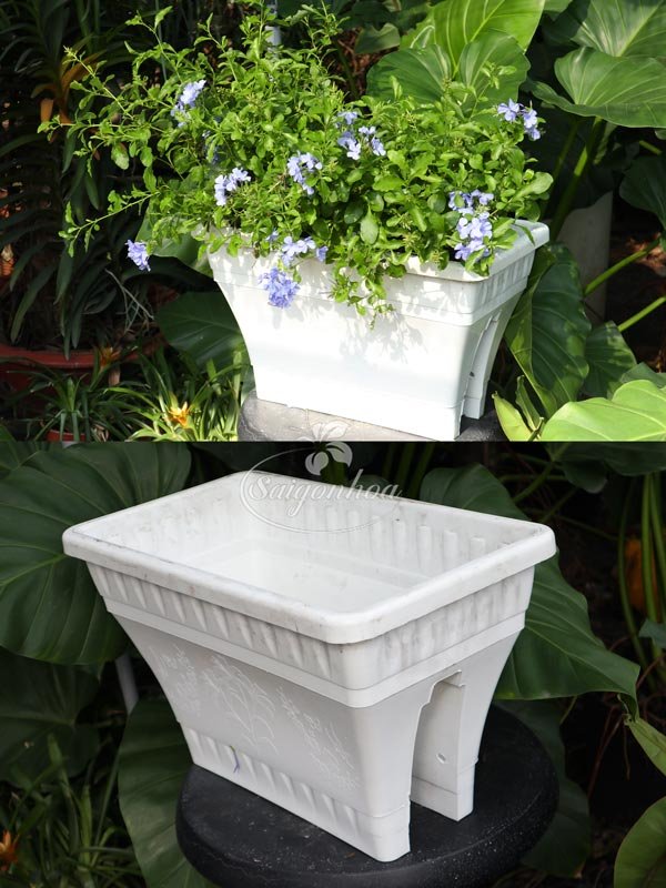 Chậu Nhựa Thái Kẹp Ban Công
