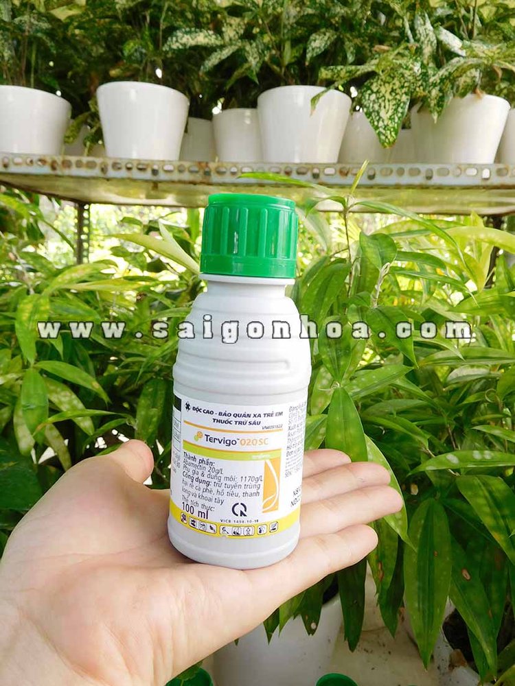 Thuốc Đặc Trị Tuyến Trùng Rễ Syngenta Tervigo 020SC
