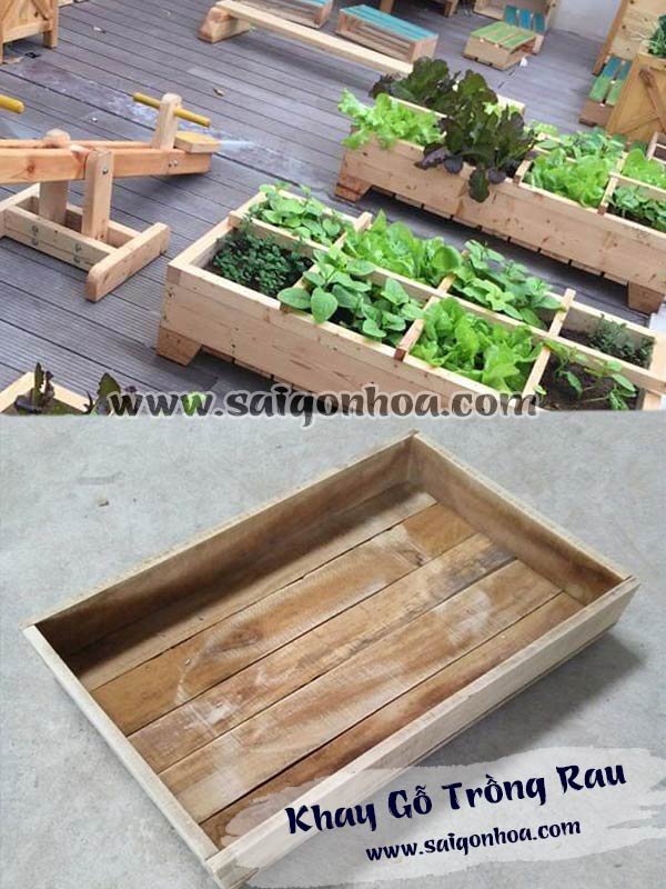 Khay Gỗ Trồng Rau