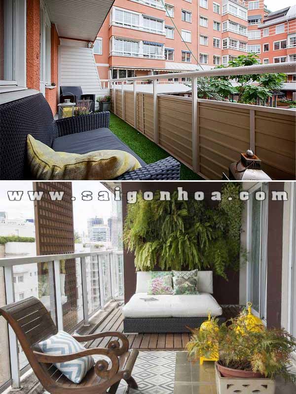 Cây Cảnh Cho Ban Công Nhà Phố