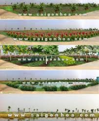 Cải Tạo Cảnh Quan Khu Vực Đầm Trũng