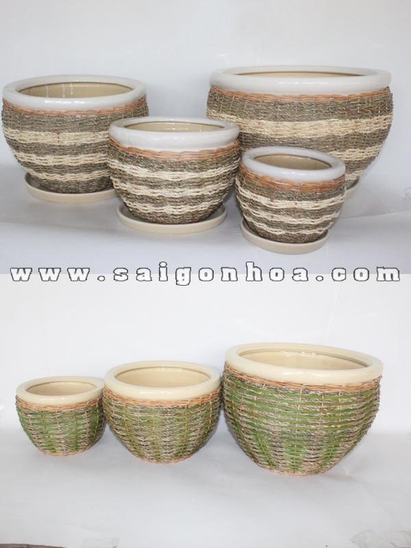 Chậu Gốm Sứ Đan Mây