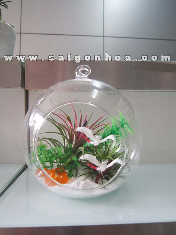 Tiểu Cảnh Cây Không Khí Vườn Bạch Hạc