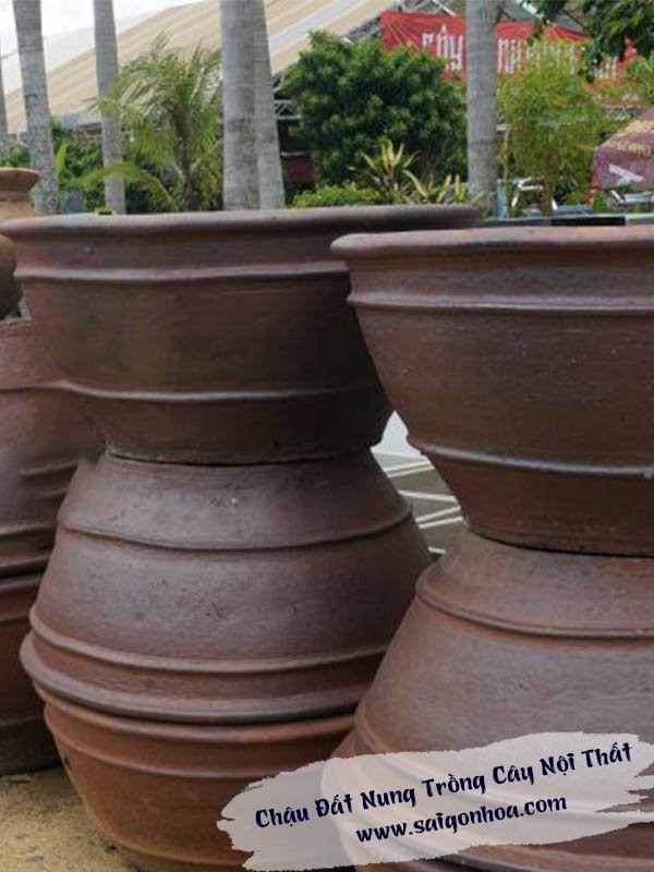 Chậu Đất Nung Trồng Cây Nội Thất