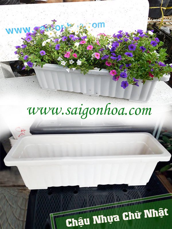 Chậu Nhựa Chữ Nhật