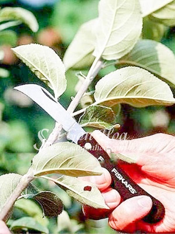 Dao Làm Vườn