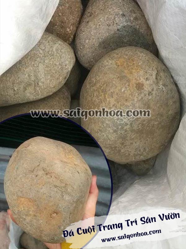 Đá Cuội Trang Trí Sân Vườn